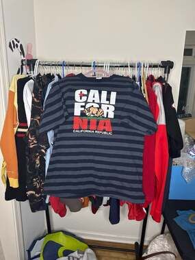 Vintage American Activewear California Republic Striped T-Shirt Size XL